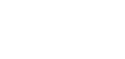 ویسلکت